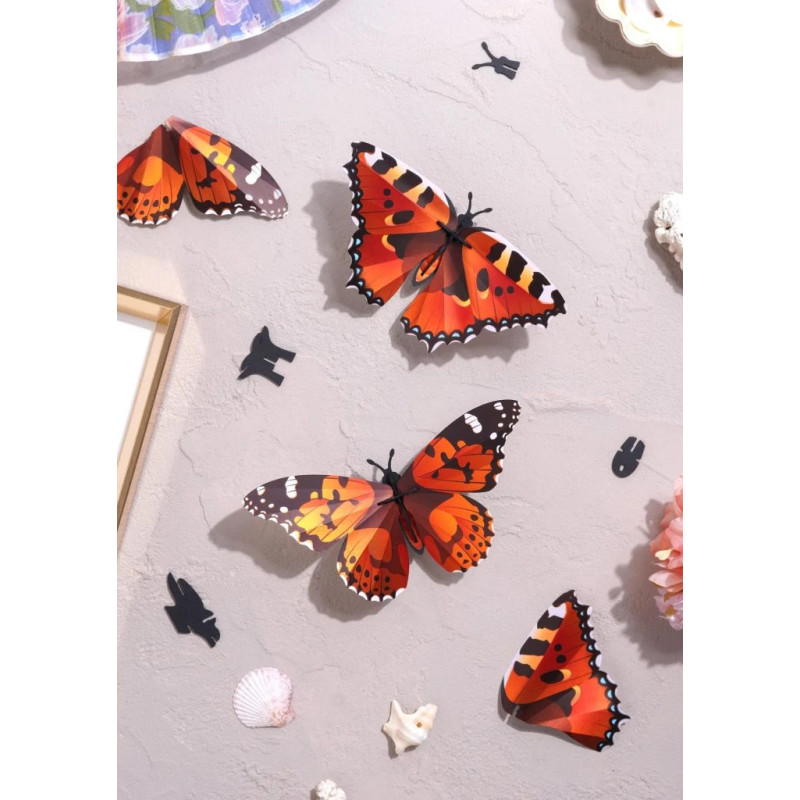 Puzzle 3d - assembli - papillon - orange lady