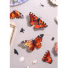 Puzzle 3d - assembli - papillon - orange lady