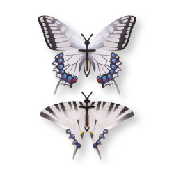 Puzzle 3d - assembli - papillon - silver tail