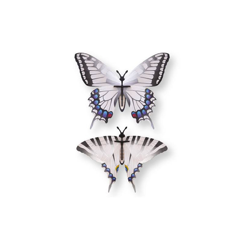 Puzzle 3d - assembli - papillon - silver tail