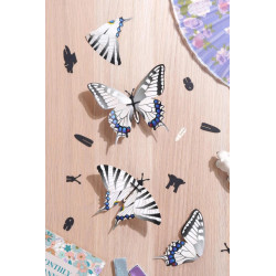 Puzzle 3d - assembli - papillon - silver tail