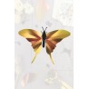 Puzzle 3d - assembli - papillon - swordtail butterflyuzzle 3d - assemb