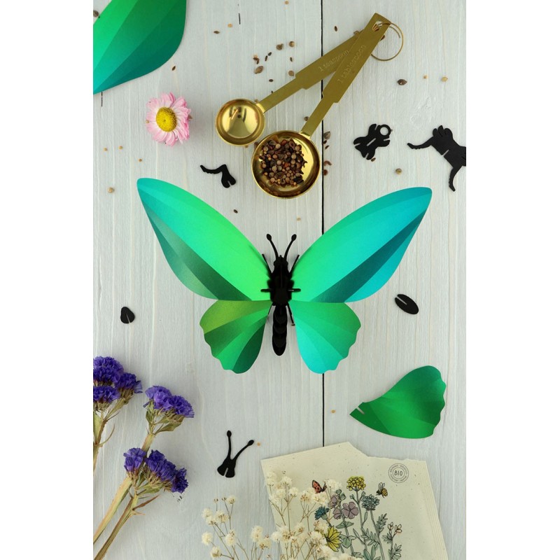 Puzzle 3d - assembli - papillon - birdwing butterflyuzzle 3d - assembl