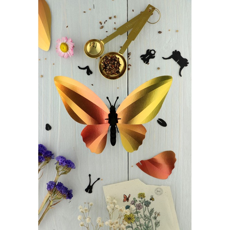 Puzzle 3d - assembli - papillon - birdwing butterflyuzzle 3d - assembl