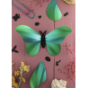 Puzzle 3d - assembli - papillon - giant silk butterflyuzzle 3d - assem