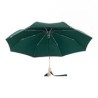 Parapluie - duckhead - automatique - forest greenarapluie - duckhead -